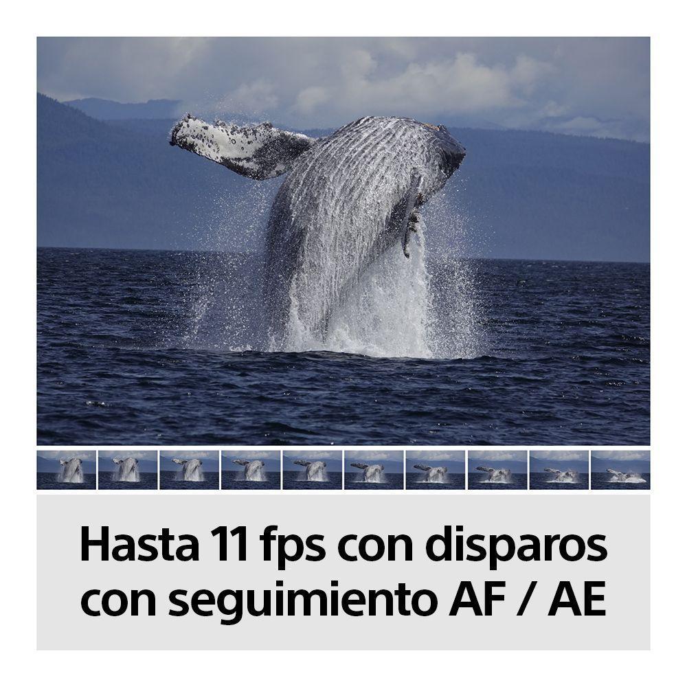 Cámara Profesional ILCE-6100Y-7