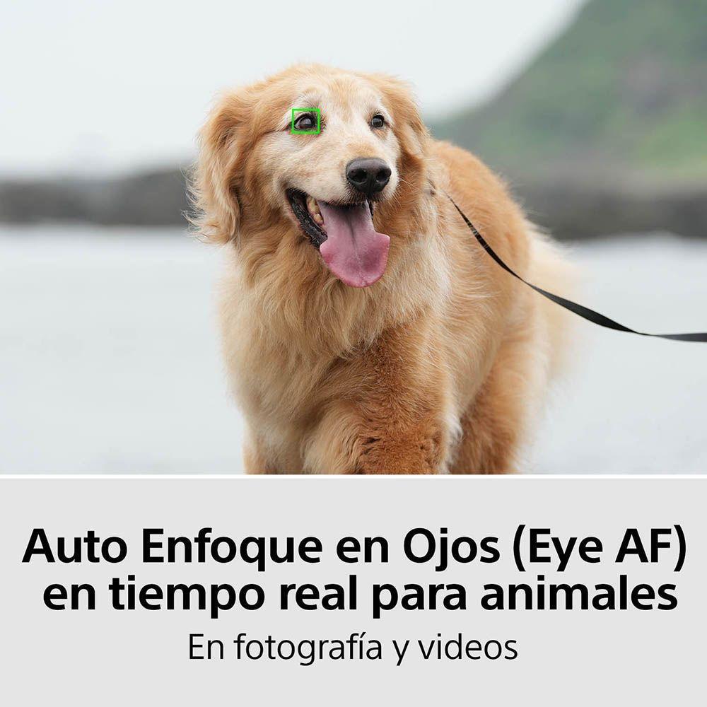 Cámara híbrida full-frame Alpha 7 IV ILCE-7M4K-7