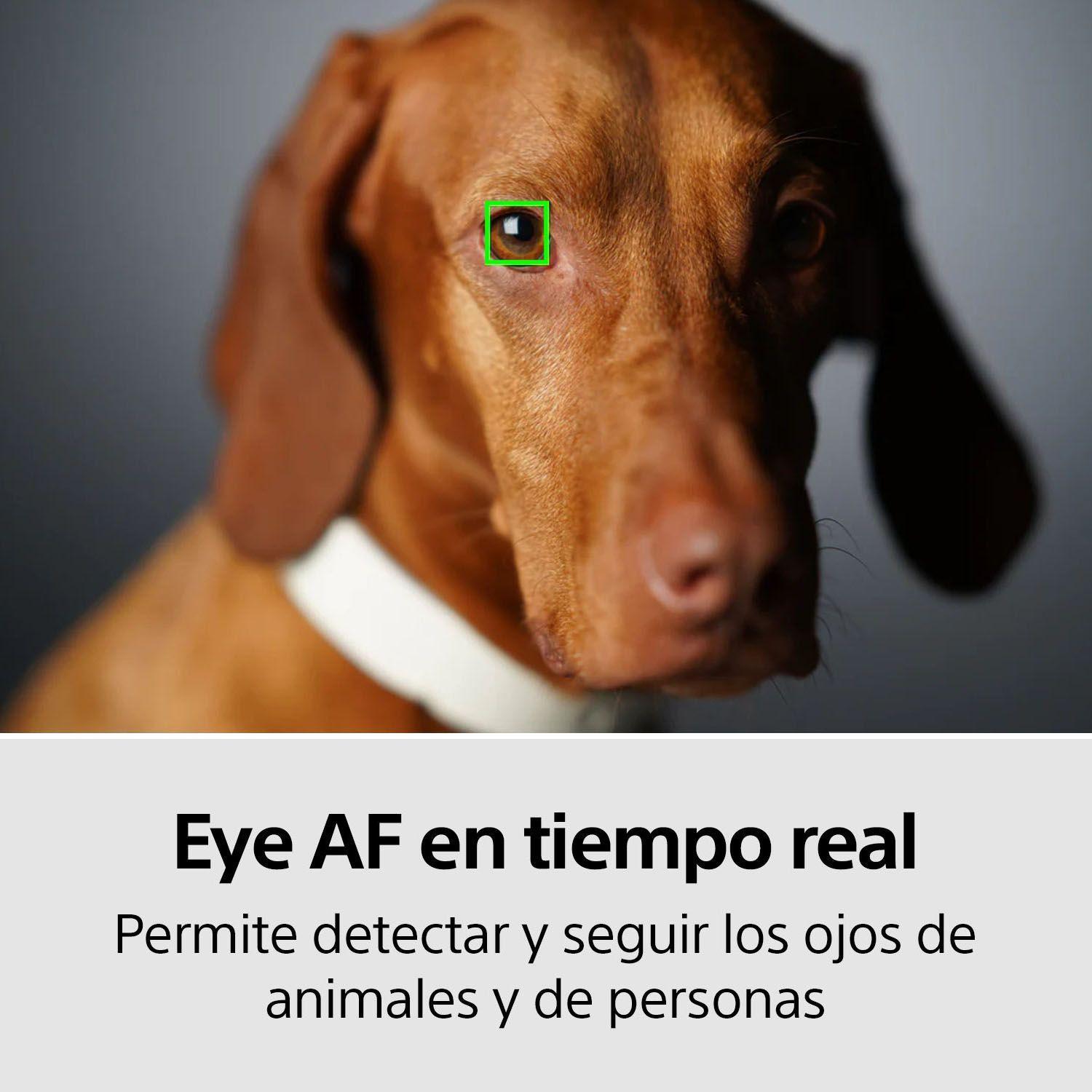 Cámara full-frame Alpha 7R IV de 35 mm y 61 MP-6