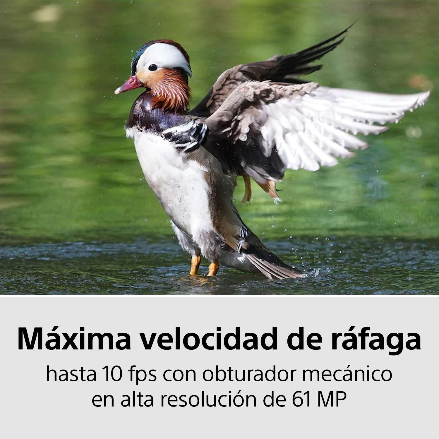 Cámara full-frame Alpha 7R IV de 35 mm y 61 MP-7