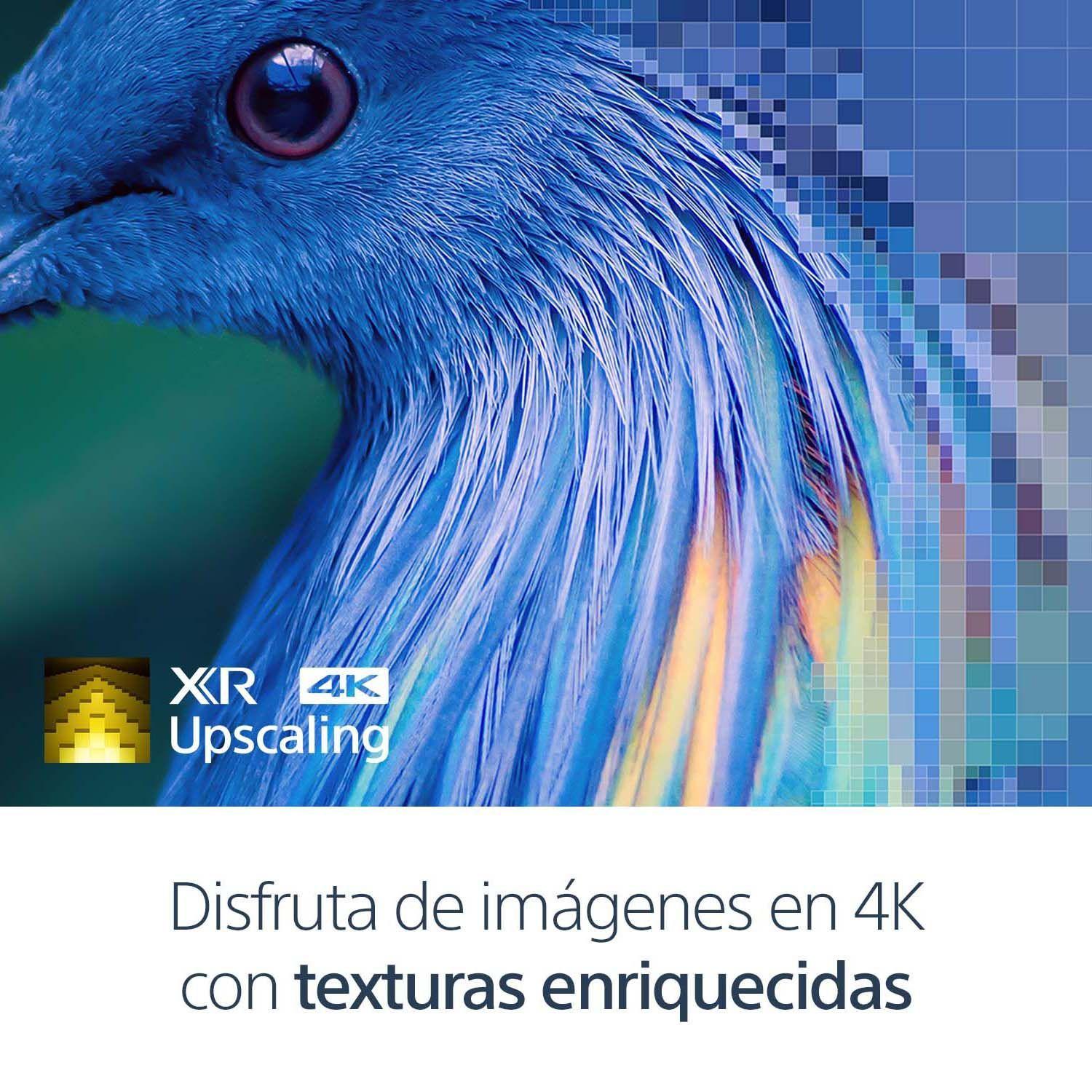 OLED Smart TV 65' Google TV 65' 4K Ultra HD  XR-65A80K -4