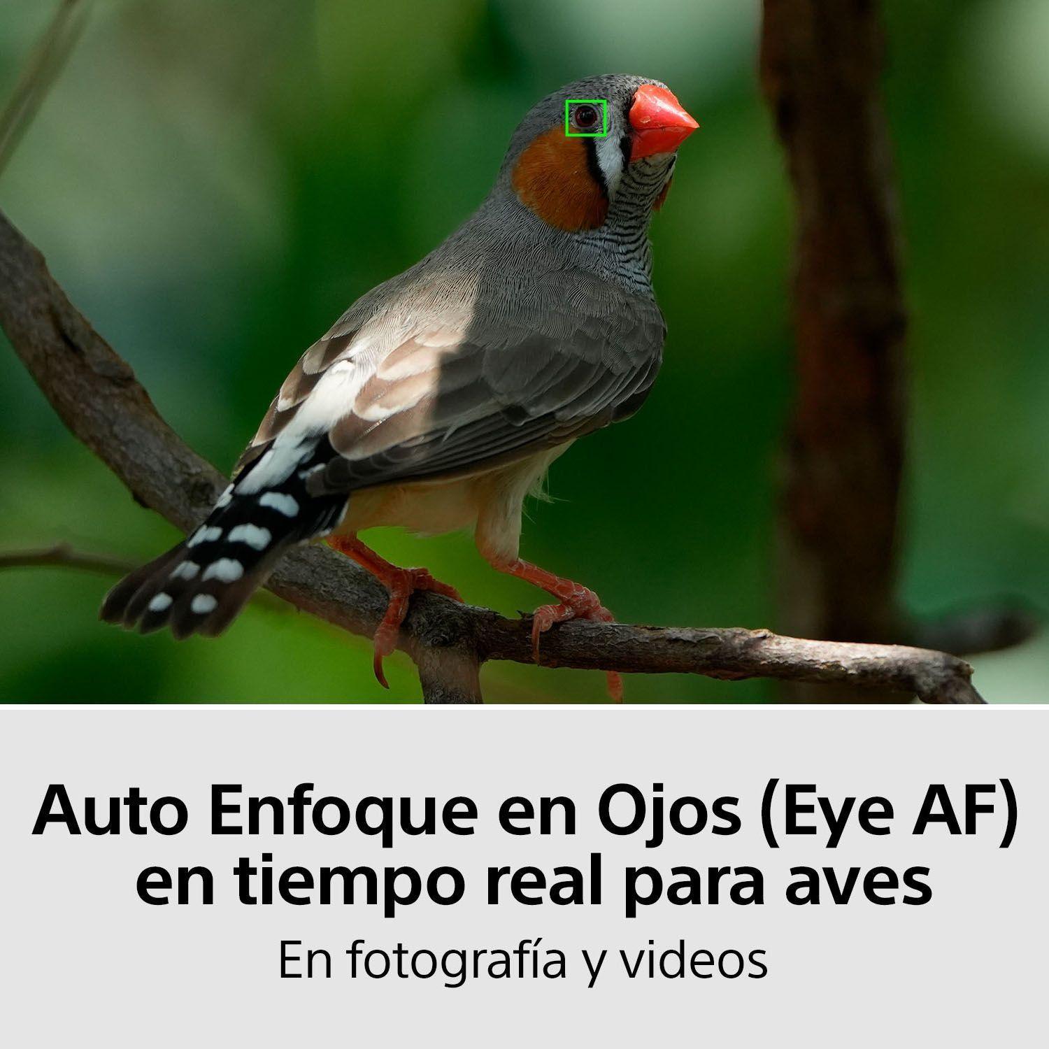 Cámara Profesional Mirrorless ILCE-7M4-5