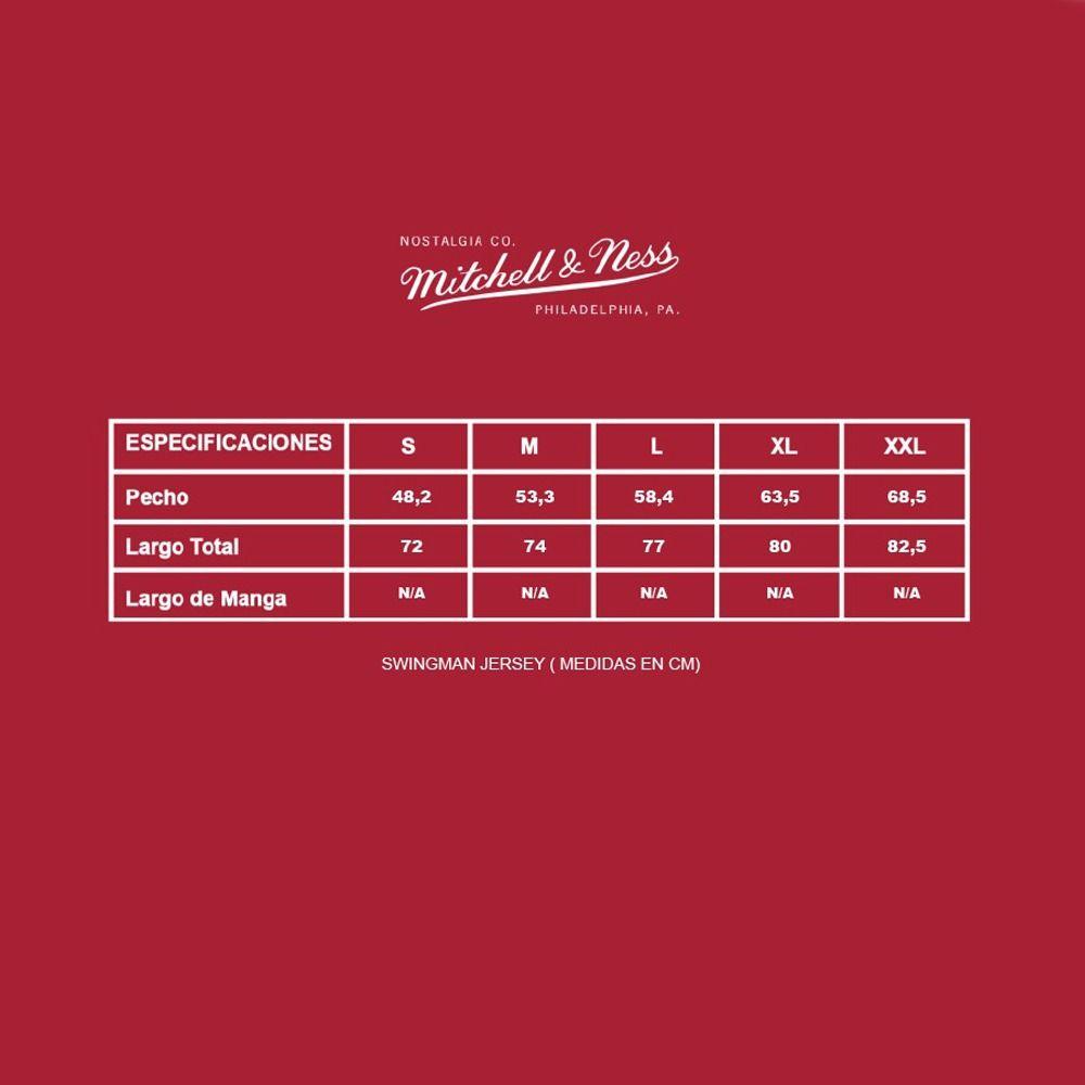 Polera Mitchell And Ness Authentic Jersey - Mj Mitchell And Ness-7