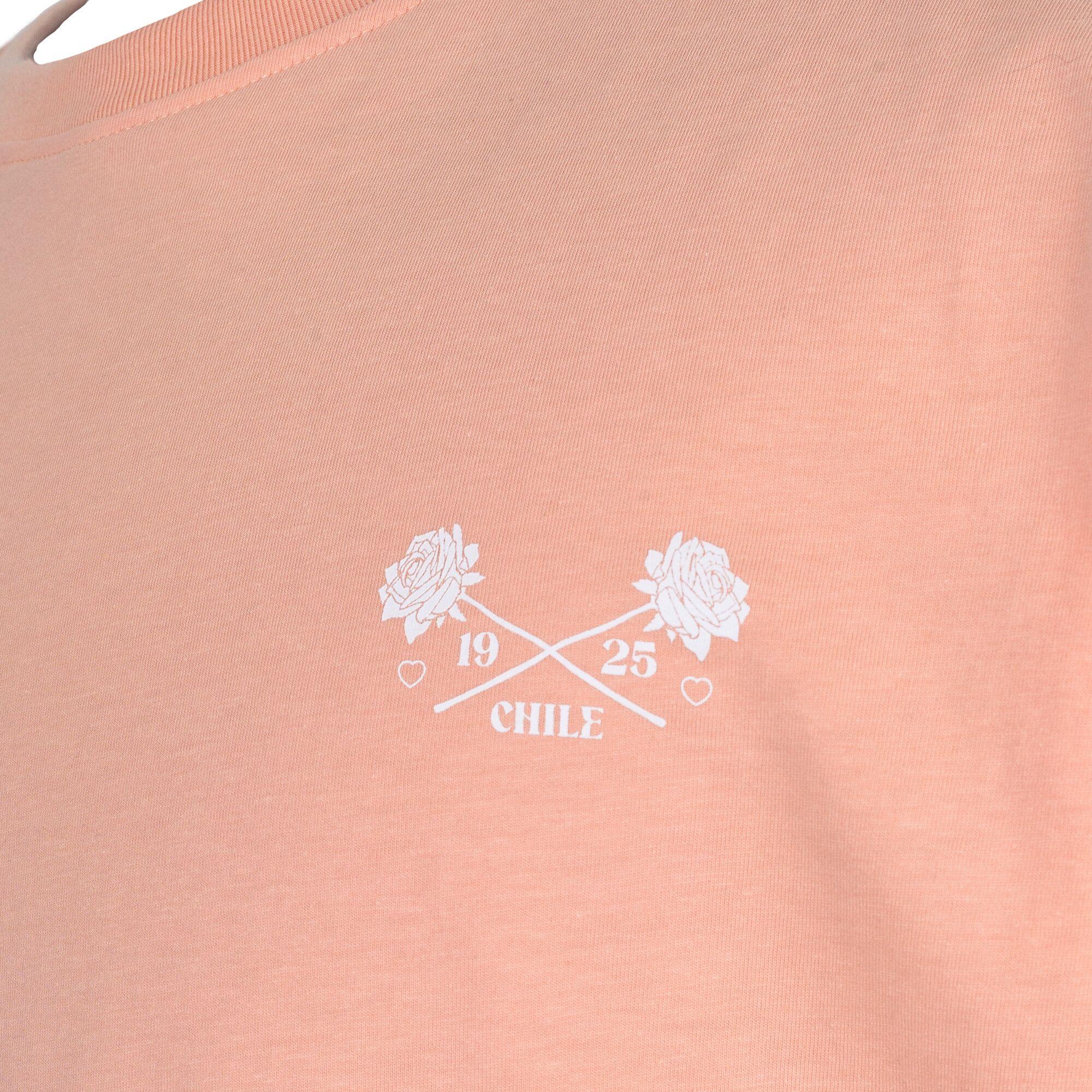 Polera Colo Colo Hombre Que lindo es ser de CC-2