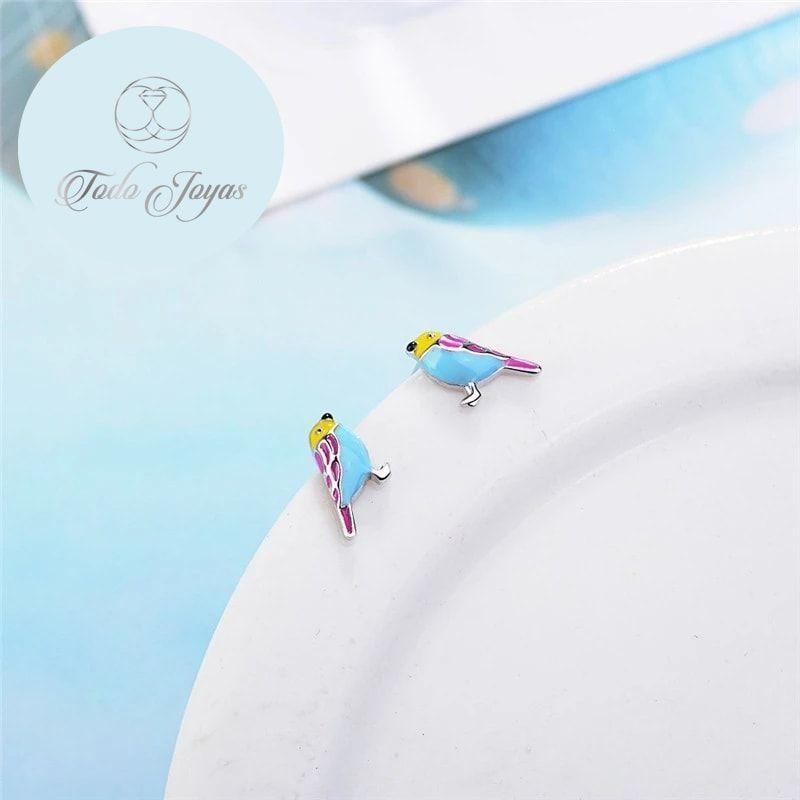 Aros de Pajaro Multicolor Plateado-2