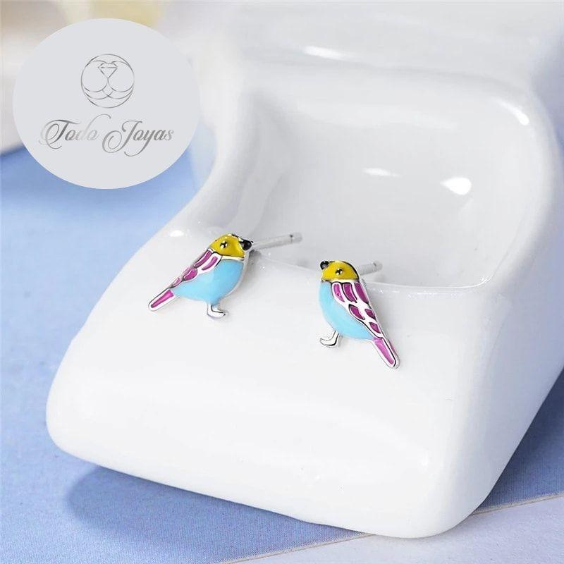 Aros de Pajaro Multicolor Plateado-3