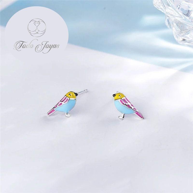 Aros de Pajaro Multicolor Plateado-4