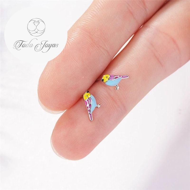 Aros de Pajaro Multicolor Plateado-5