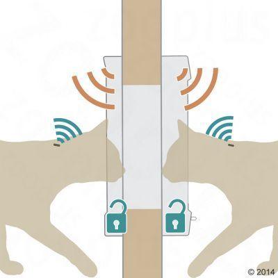 Puerta para Gatos con Microchip-2