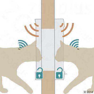 Puerta para Gatos con Microchip-2