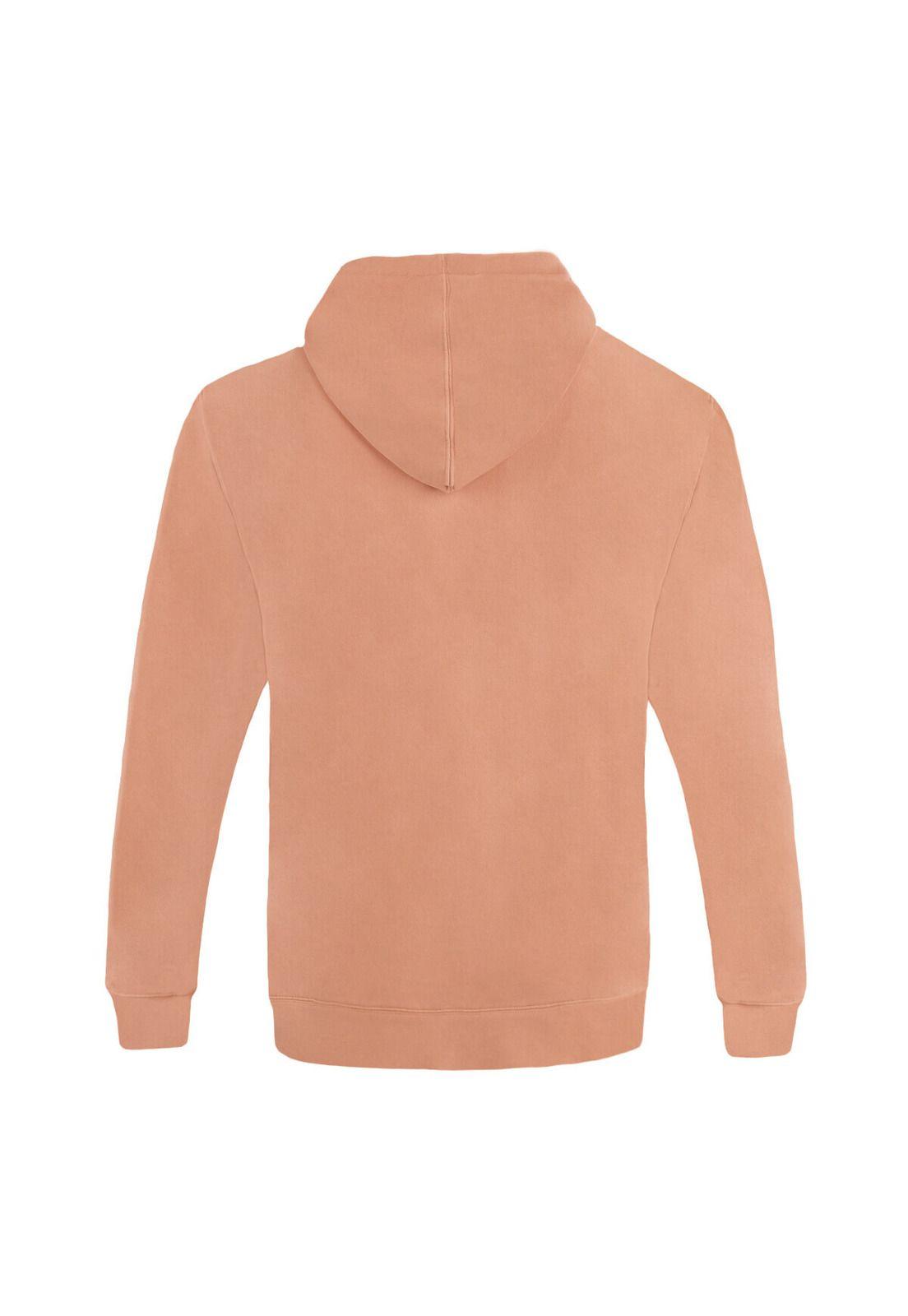 Polerón Hoodie Fastlane Washed Muted Clay-2