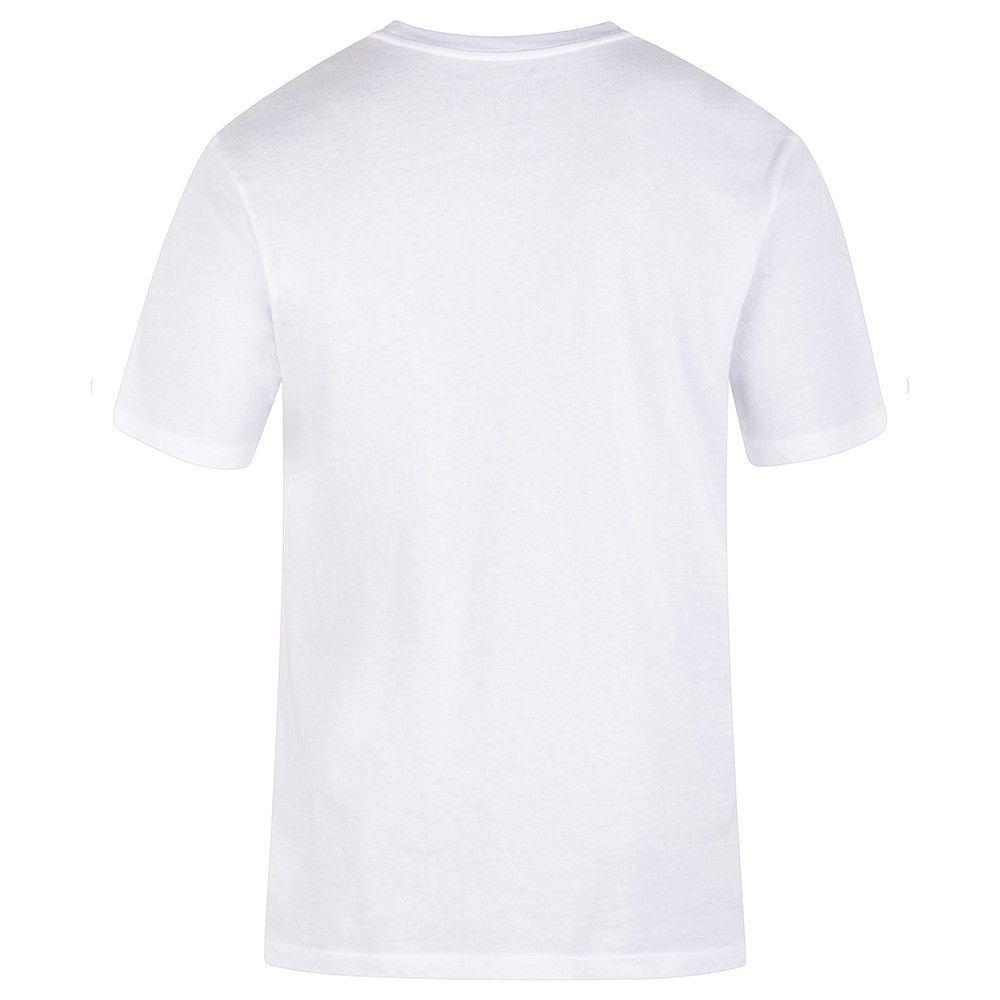 Polera EVD WSH Taste Of The Tropic White Hurley-1