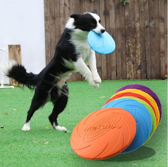 Frisbee de 18cm Mascotas Perros Resistente-3