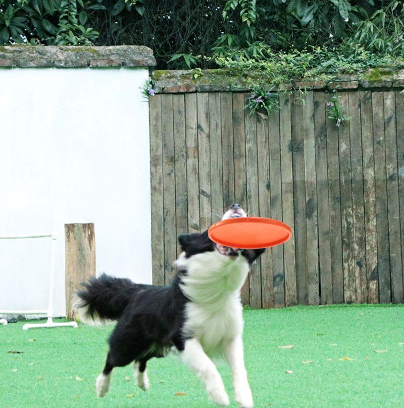 Frisbee de 18cm Mascotas Perros Resistente-6