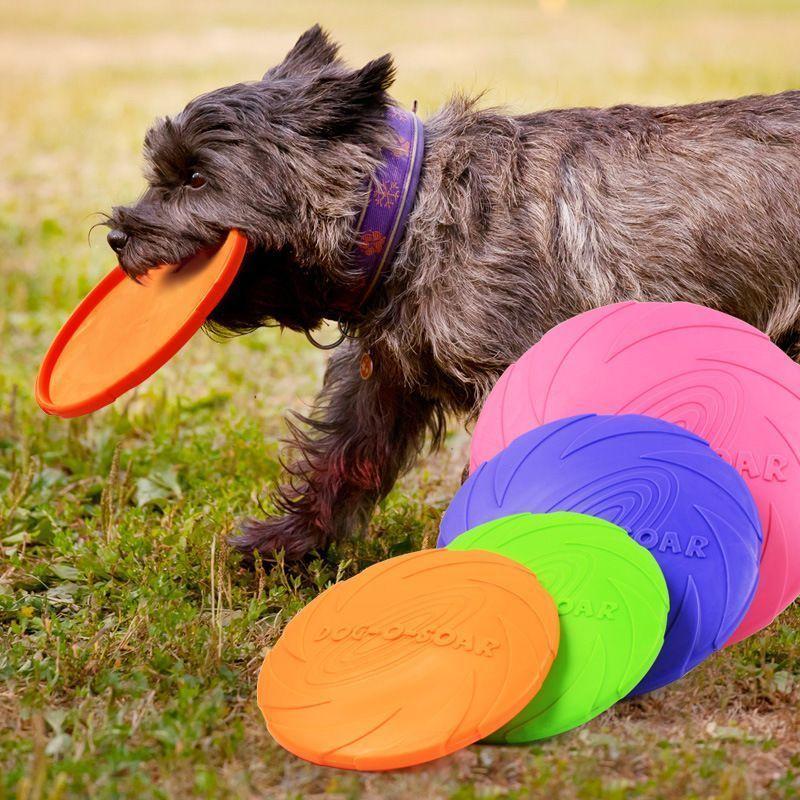 Frisbee de 18cm Mascotas Perros Resistente-2