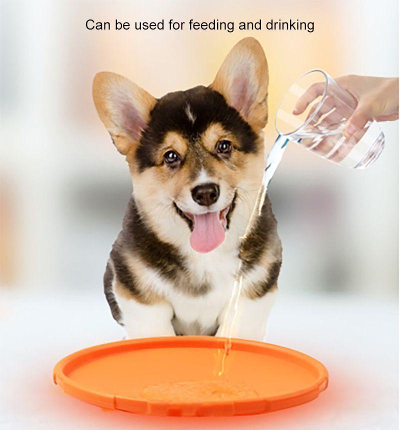 Frisbee de 18cm Mascotas Perros Resistente-4