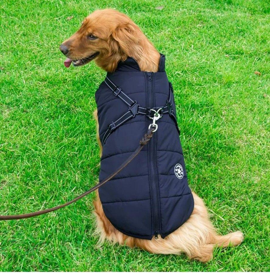Parka Chaqueta Impermeable Talla M Perro Azul-2