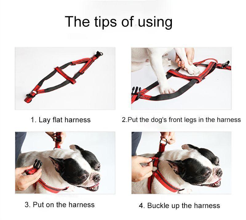 Árnes Más Correa Gruesa Para Mascotas Perros Rojo-6