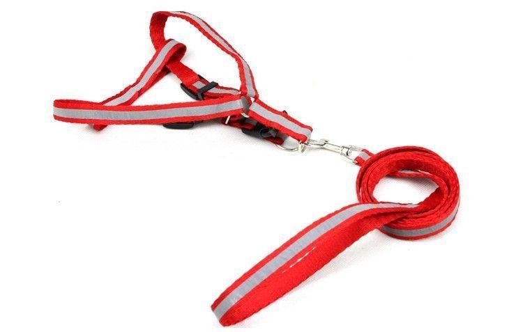 Arnés con Cuerda Reflectantes para Mascotas Perros Gatos -2