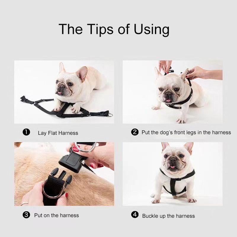 Arnés con Cuerda Reflectantes para Mascotas Perros Gatos -3