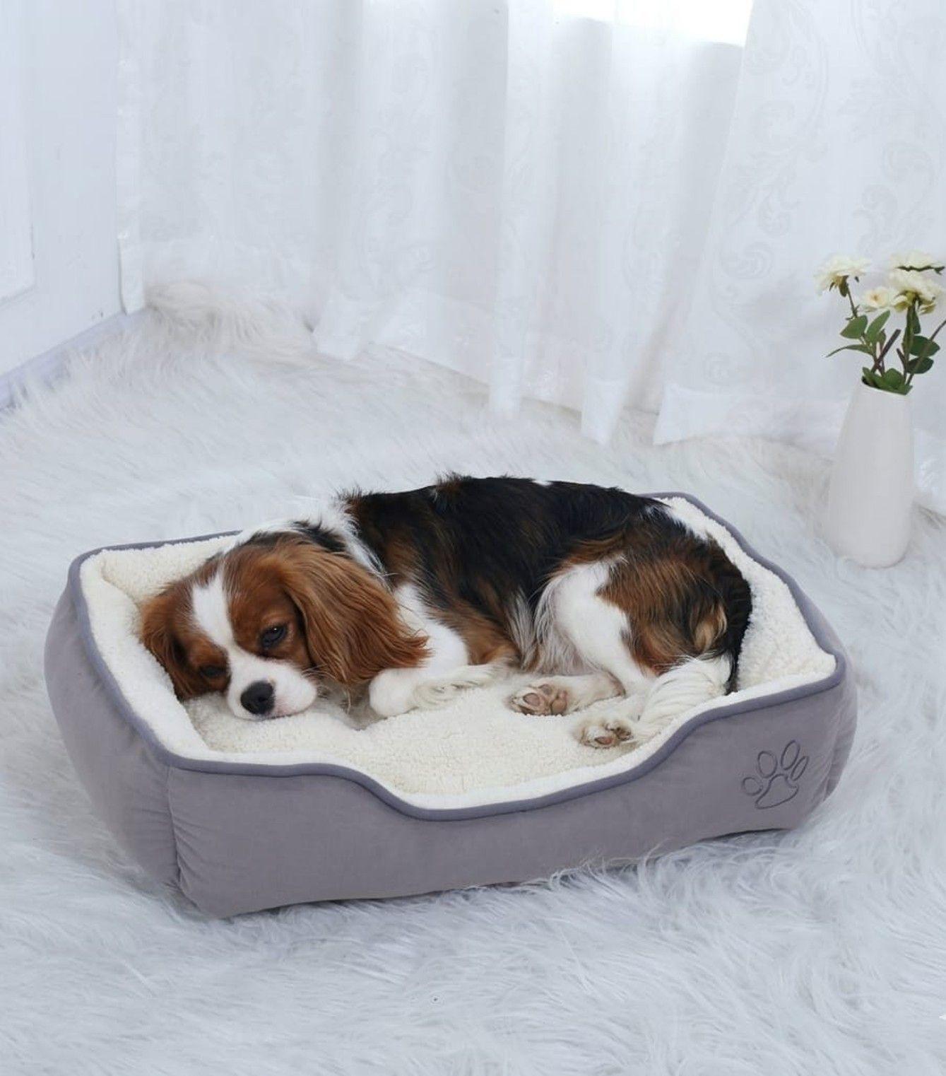 Cama Premium 2 Piezas Acolchada para mascotas Perros Gatos Color Talla XL Gris -0