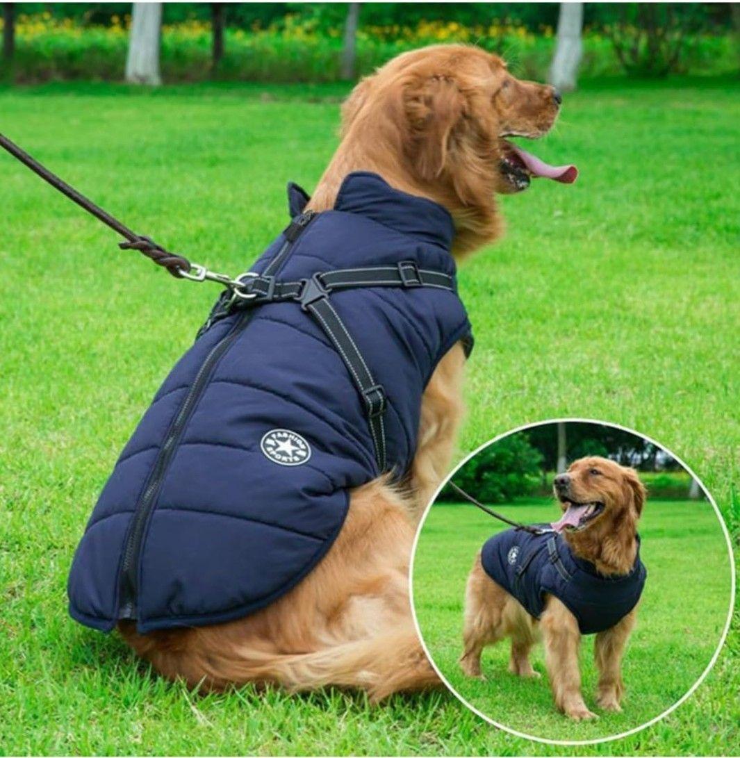 Parka Chaqueta Impermeable para Mascotas Perros Talla L Azul con Arnés-2