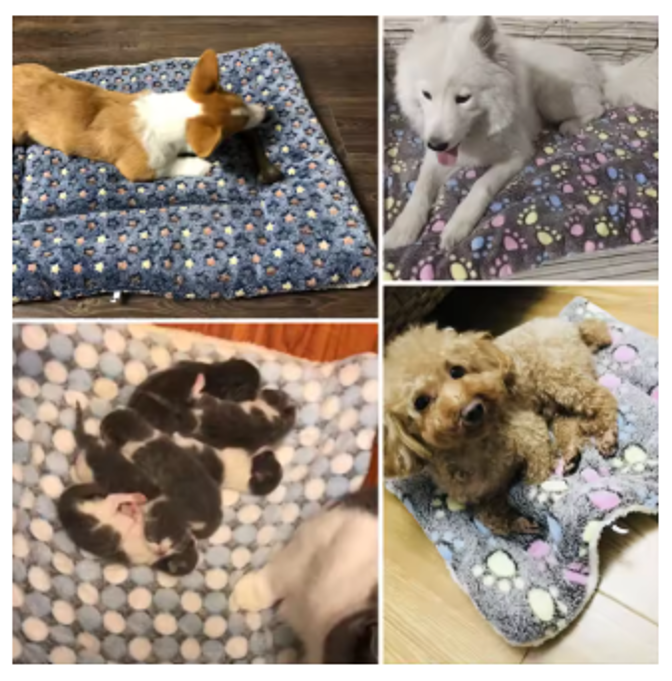 Alfombrilla Suave para Mascotas Perros Gatos Manta Acolchada Felpa 48x34cm -7