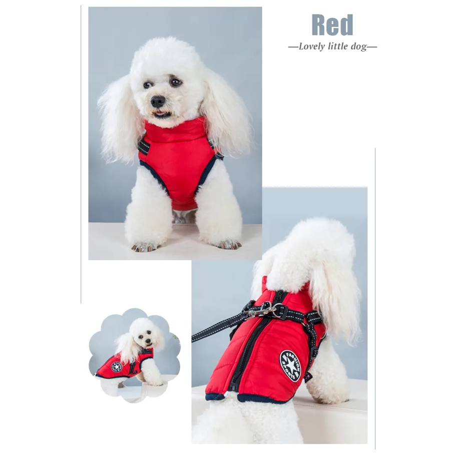 Parka Chaqueta Impermeable Talla S Perro Rojo-1