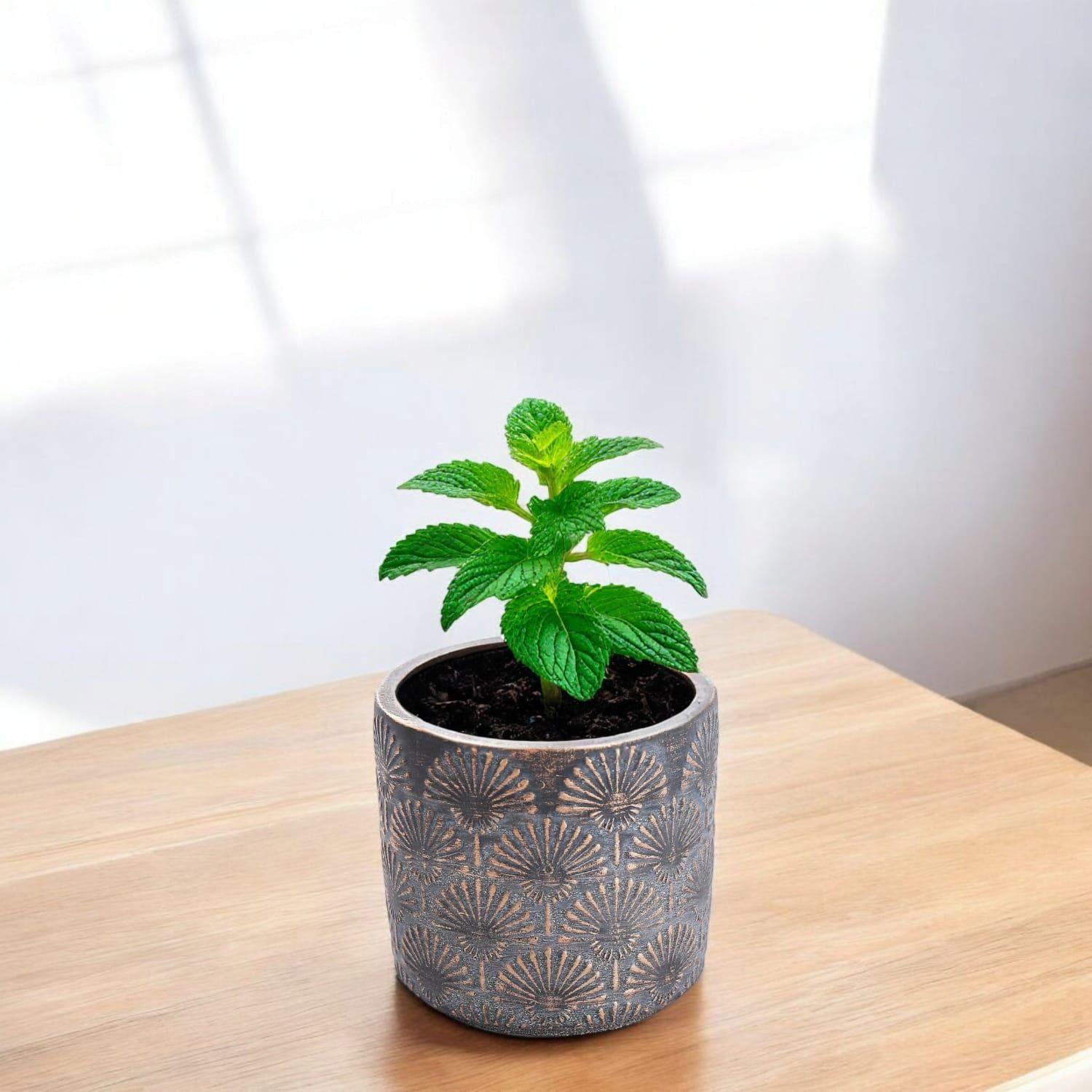 Maceta de cemento cobre/gris 13 cm-2