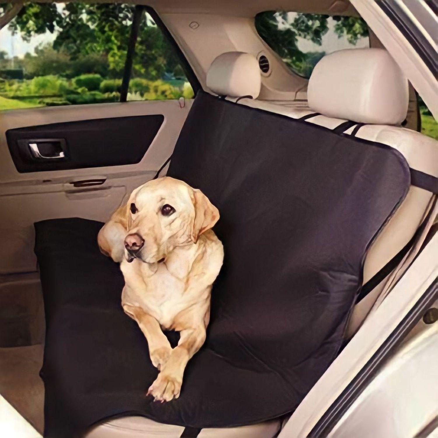 Funda cubre asiento de auto para mascotas-3