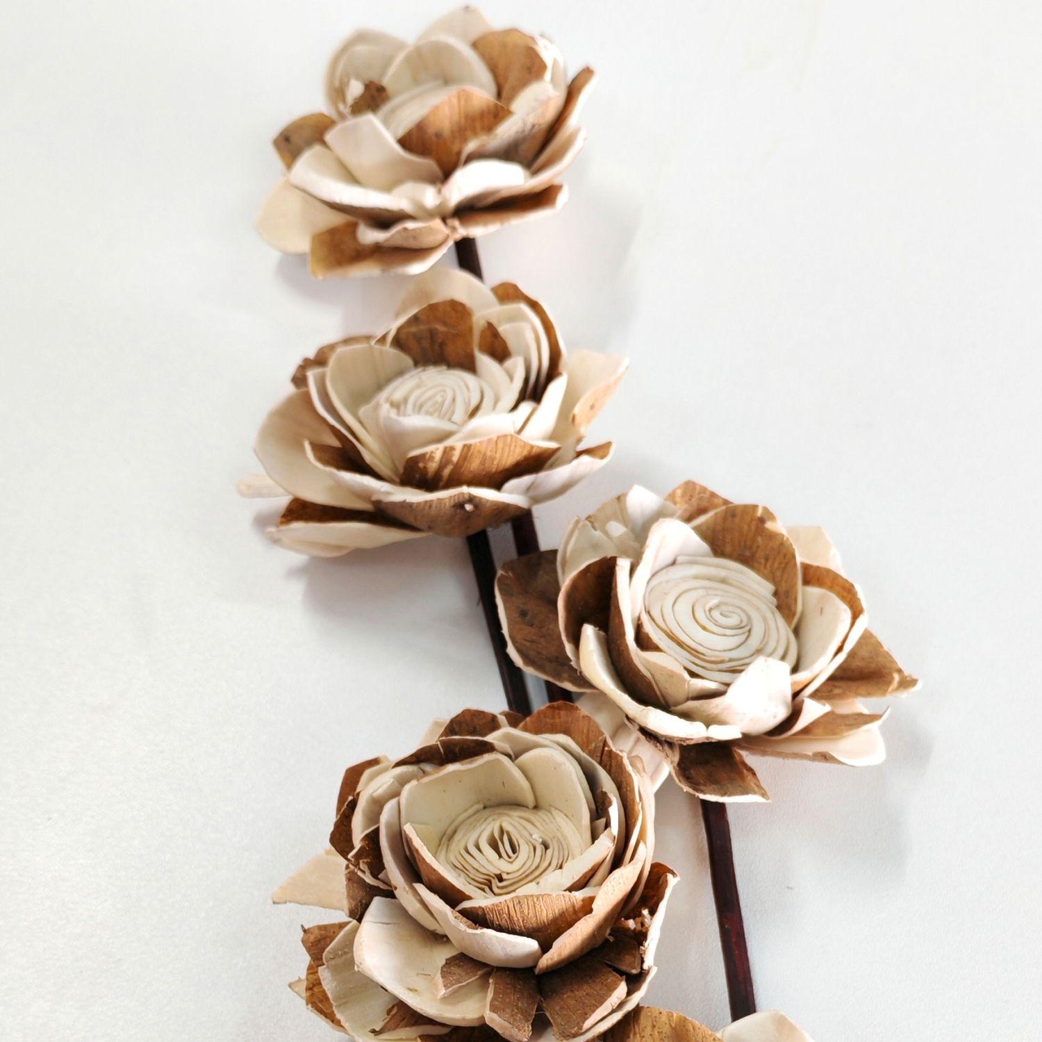 Ramo natural magnolia 55 cm-1