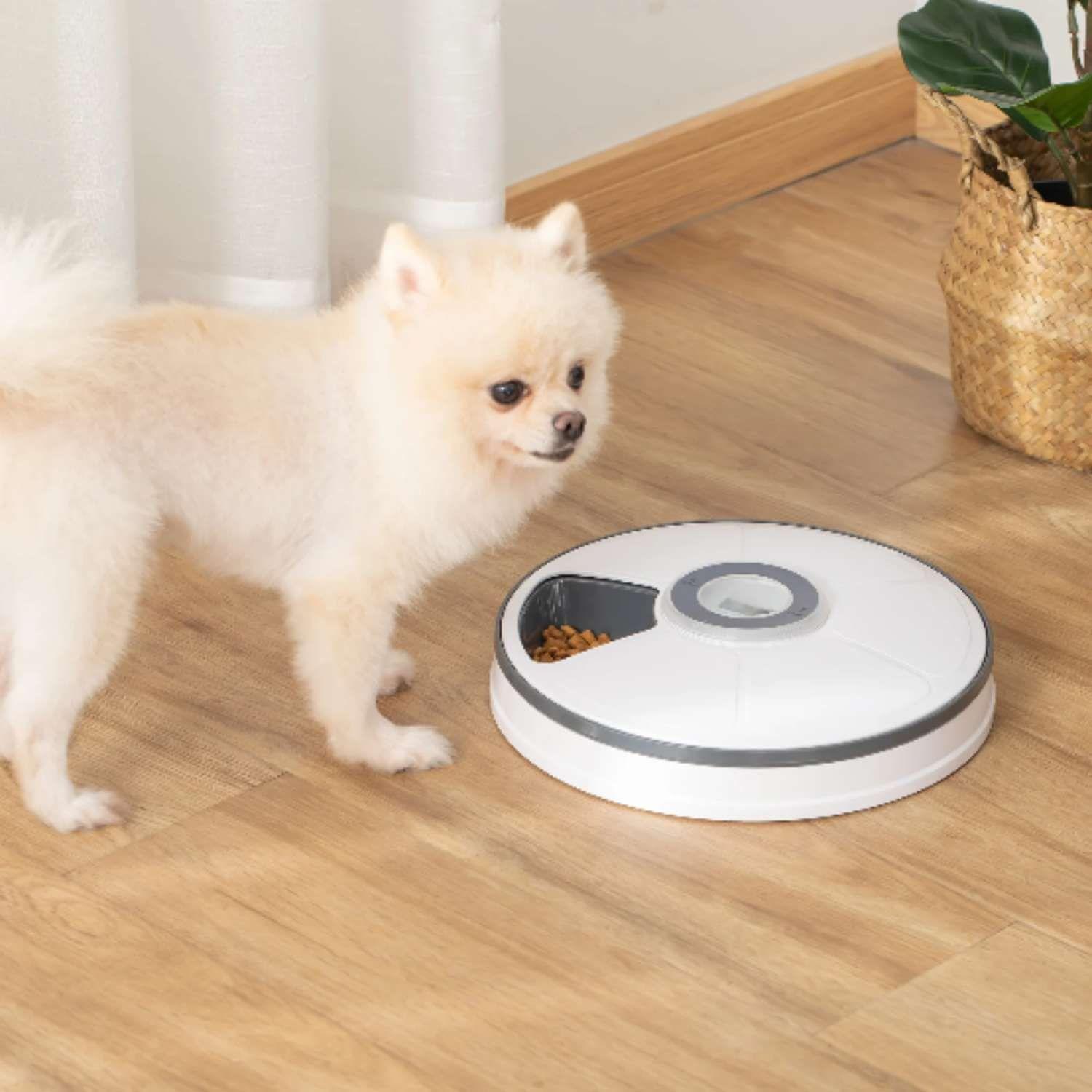 Dispensador automático de alimento para perros y gatos-3
