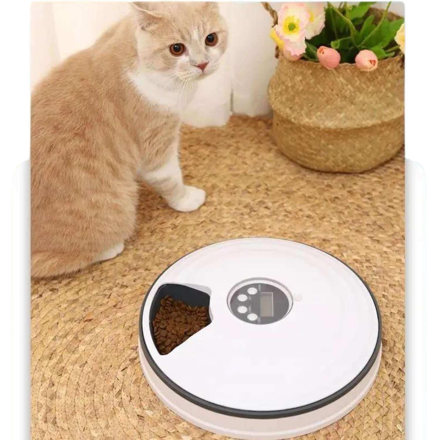 Dispensador automático de alimento para perros y gatos-4