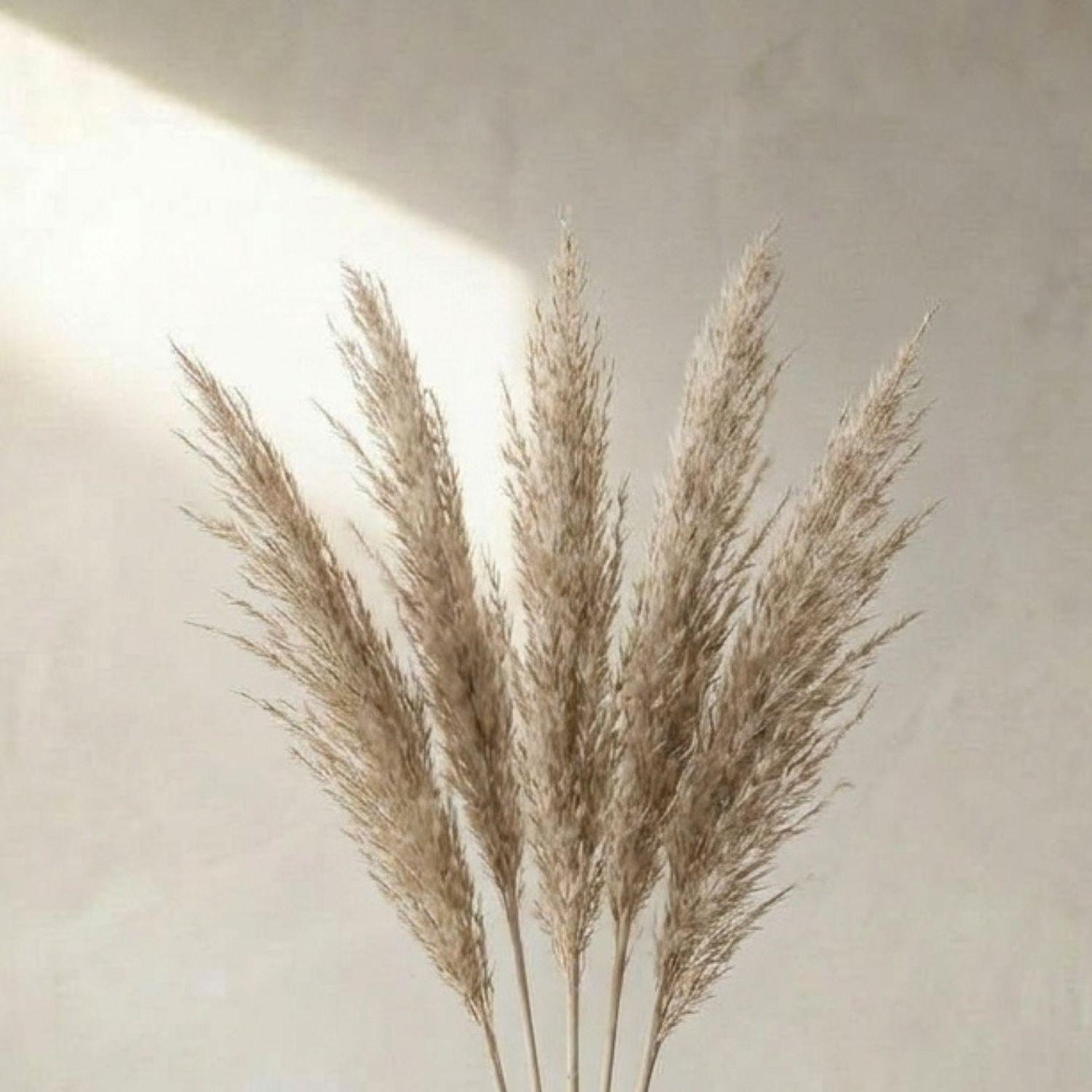 Ramo luminosa natural 100 cm-4