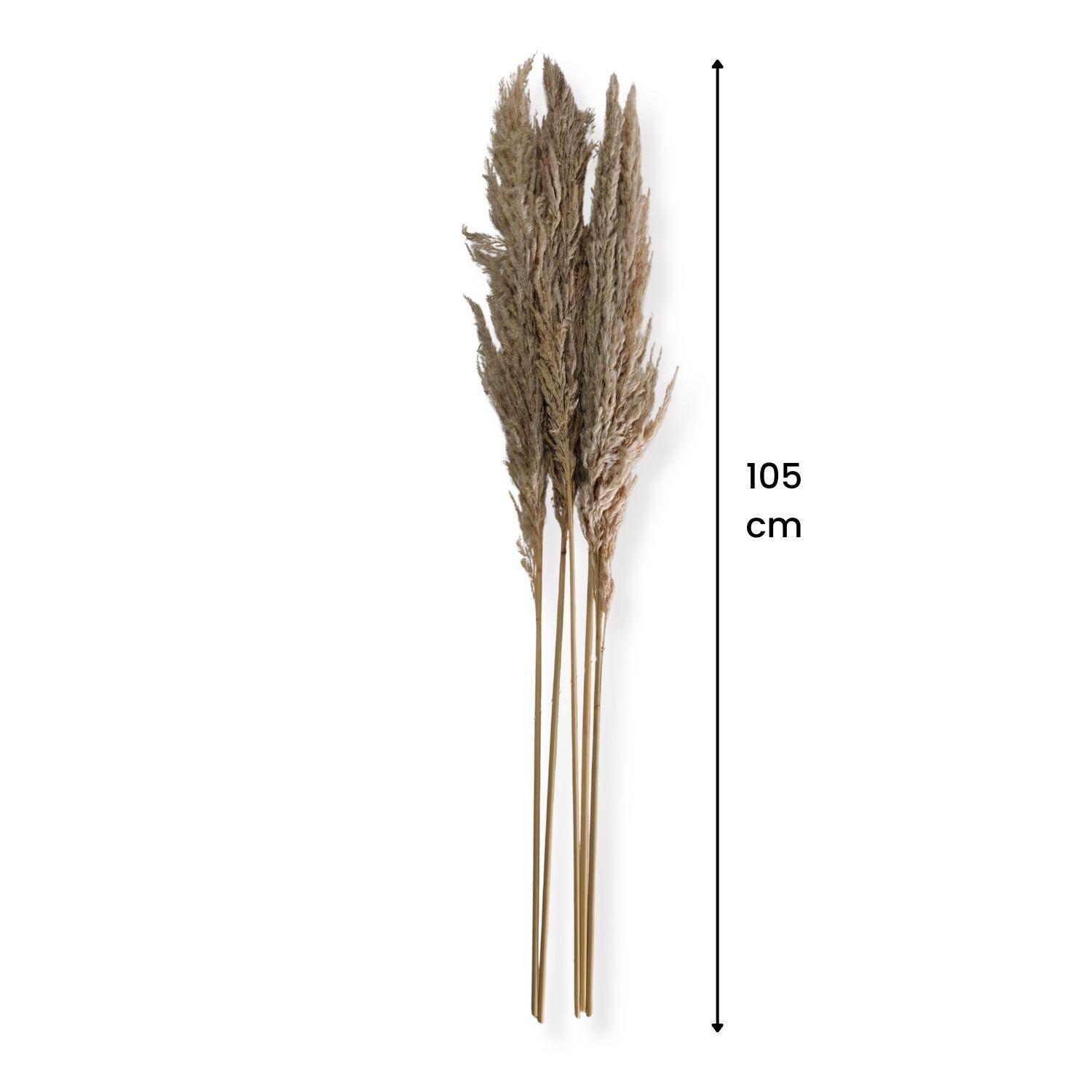 Ramo luminosa natural 100 cm-5