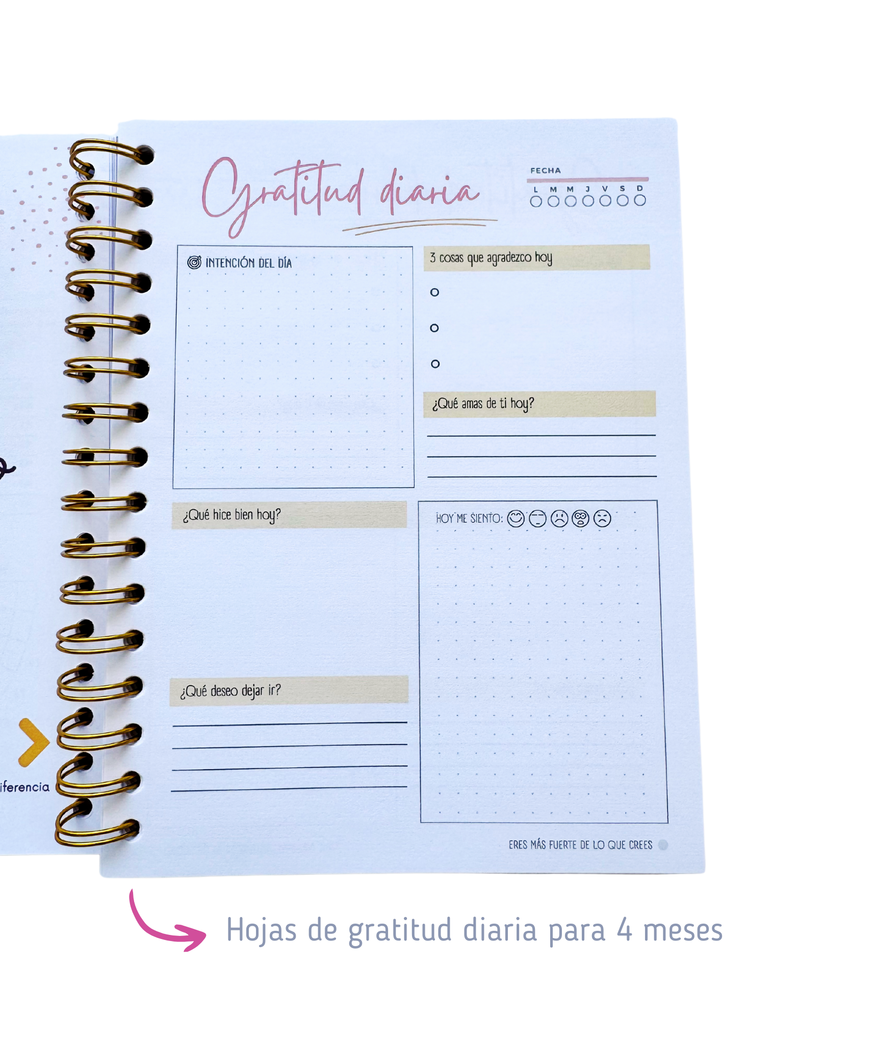 Cuaderno De Gratitud -90 Días Para Transformar Tu Mentalidad-3