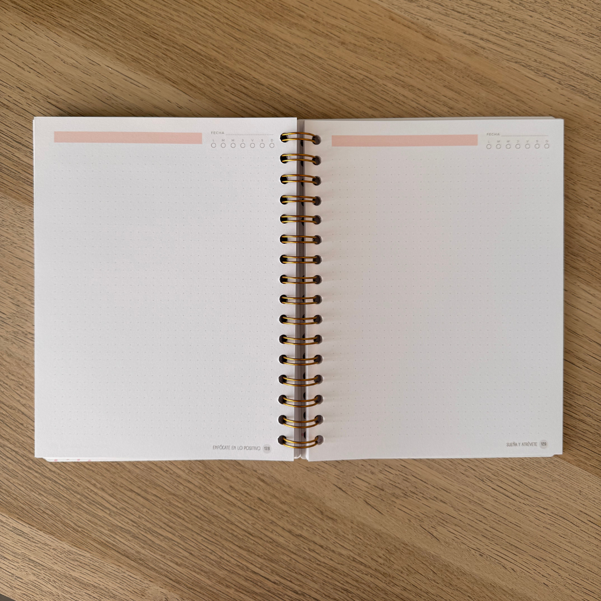 Cuaderno de notas / hojas con puntos -5