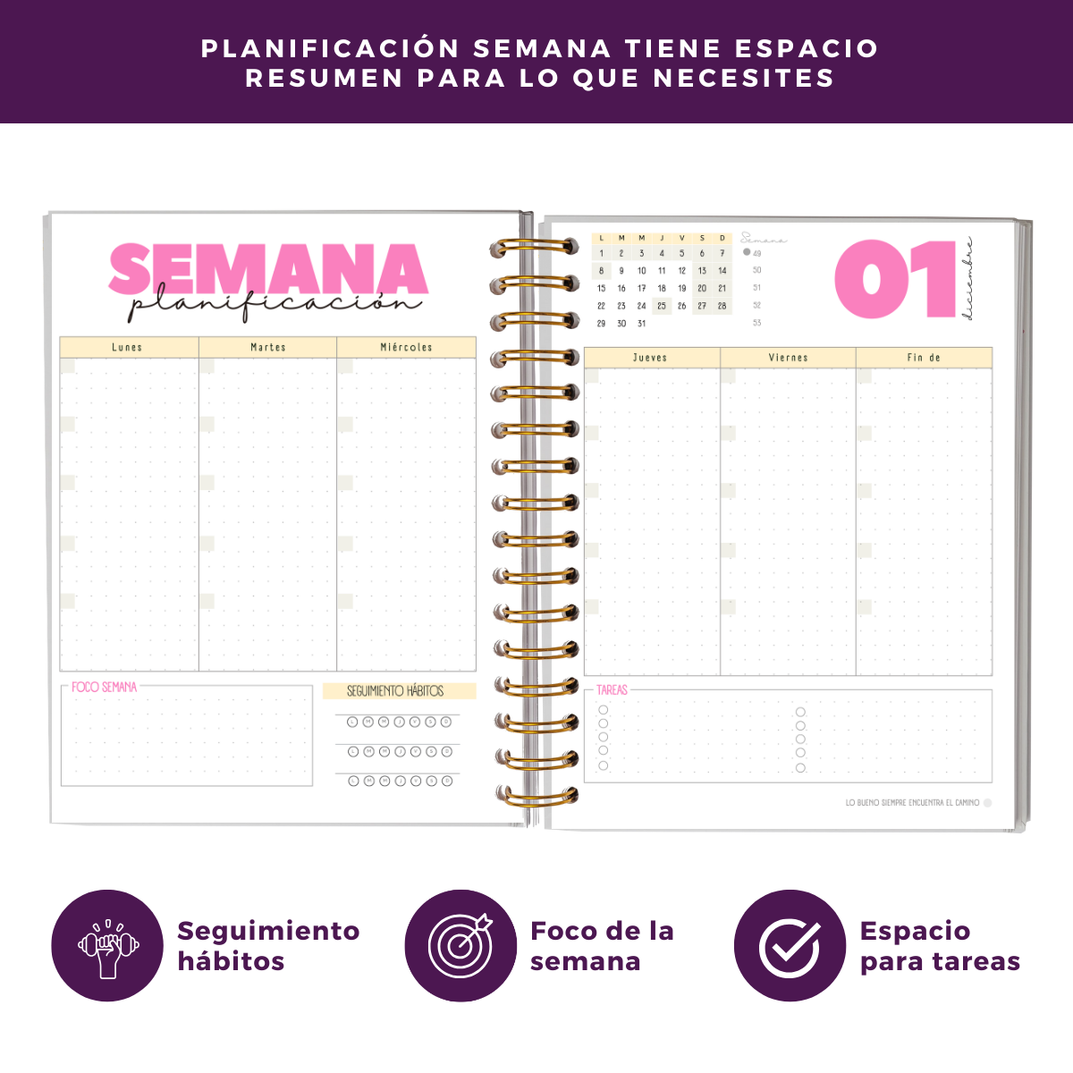 Agenda 2025 - Con Fecha Portada Colores-4