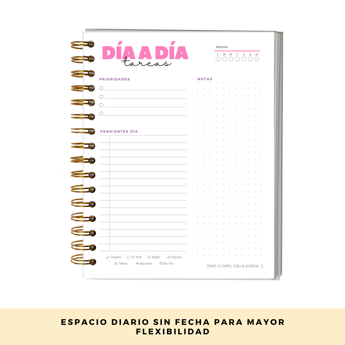 Agenda 2025 - Con Fecha Portada Colores-5