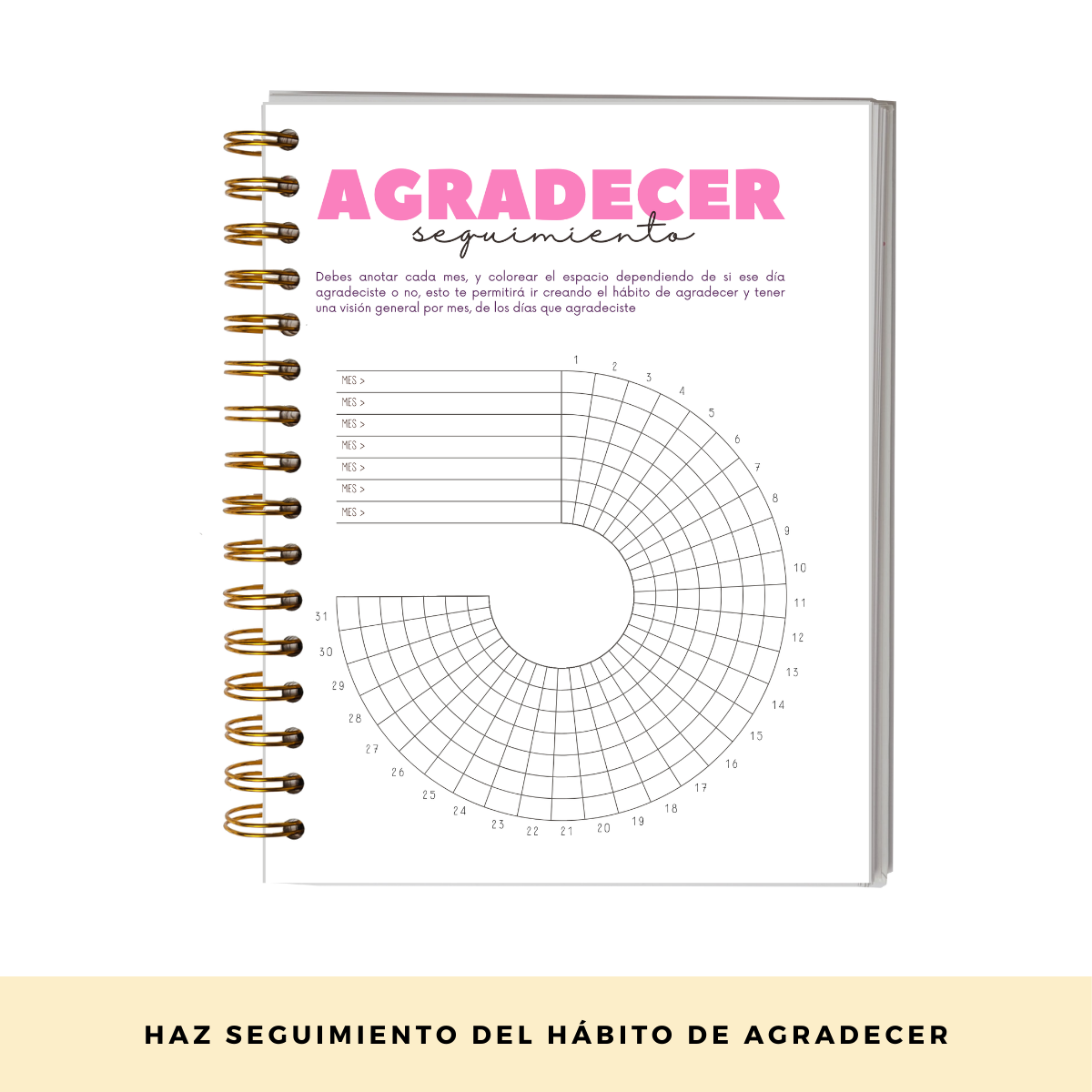 Momentos Gratitud - Cuaderno Diario De Reflexión Y Gratitud-2