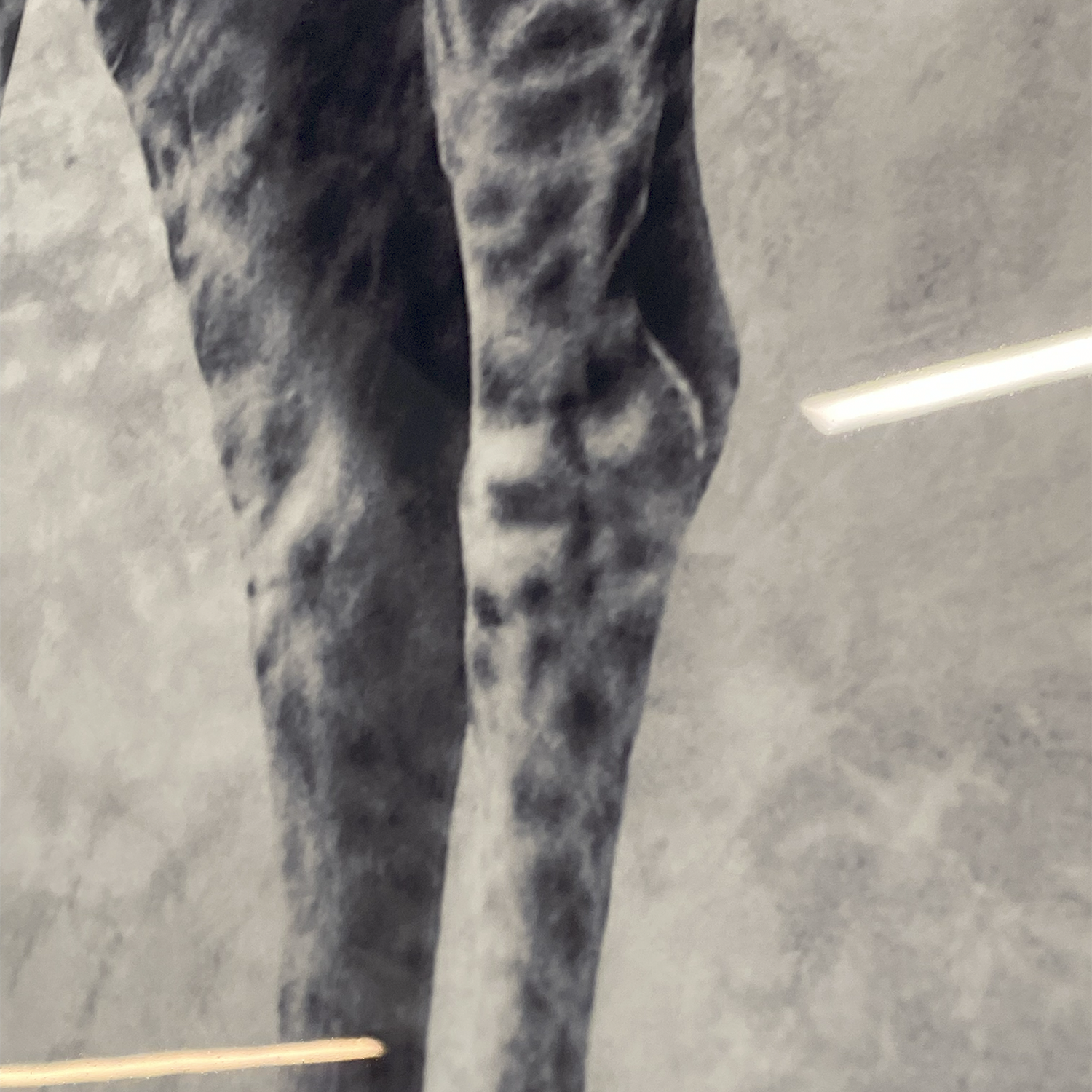 Cuadro Decorativo Jirafa-3