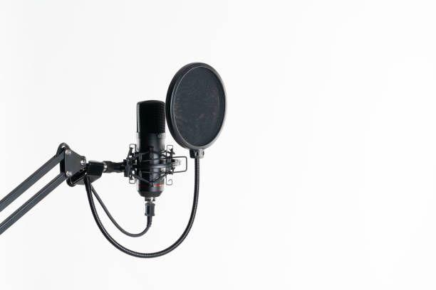 Antipop Hebikuo F1 | OutletMusic.cl-3