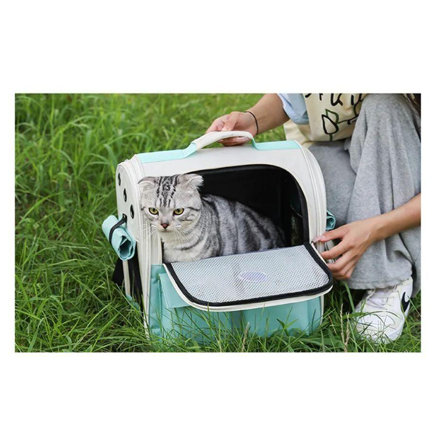 Bolso de Transporte Portátil Para Gato Transpirable Turquesa -4