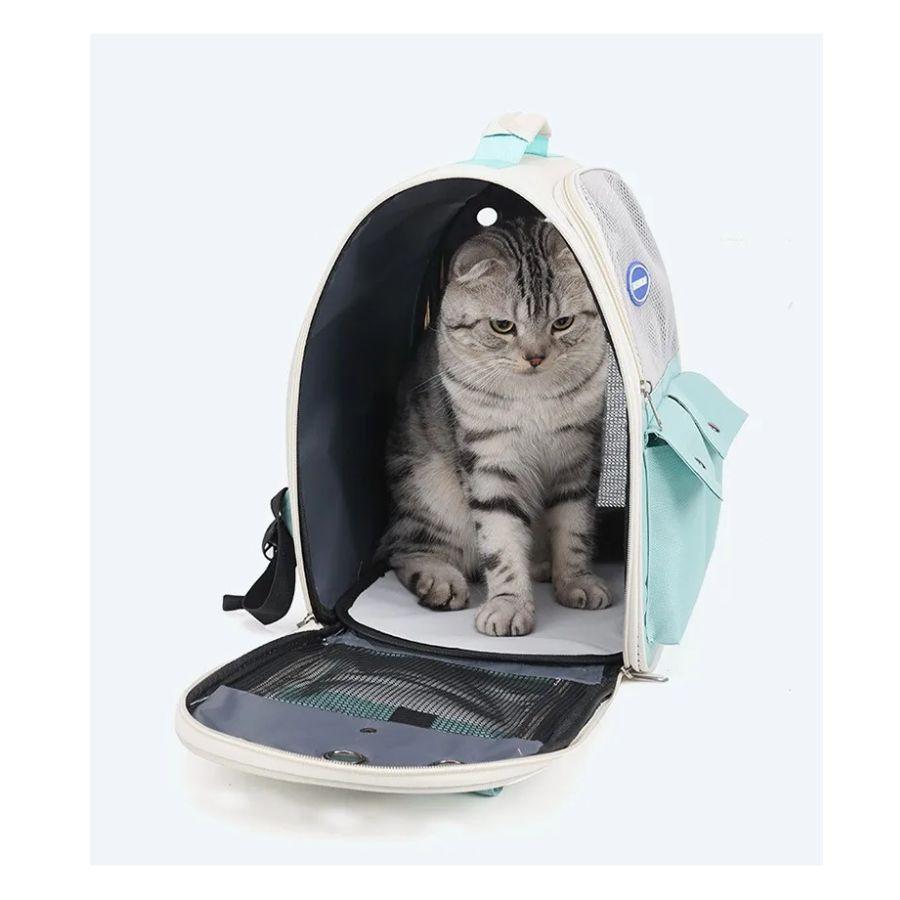 Bolso de Transporte Portátil Para Gato Transpirable Turquesa -5