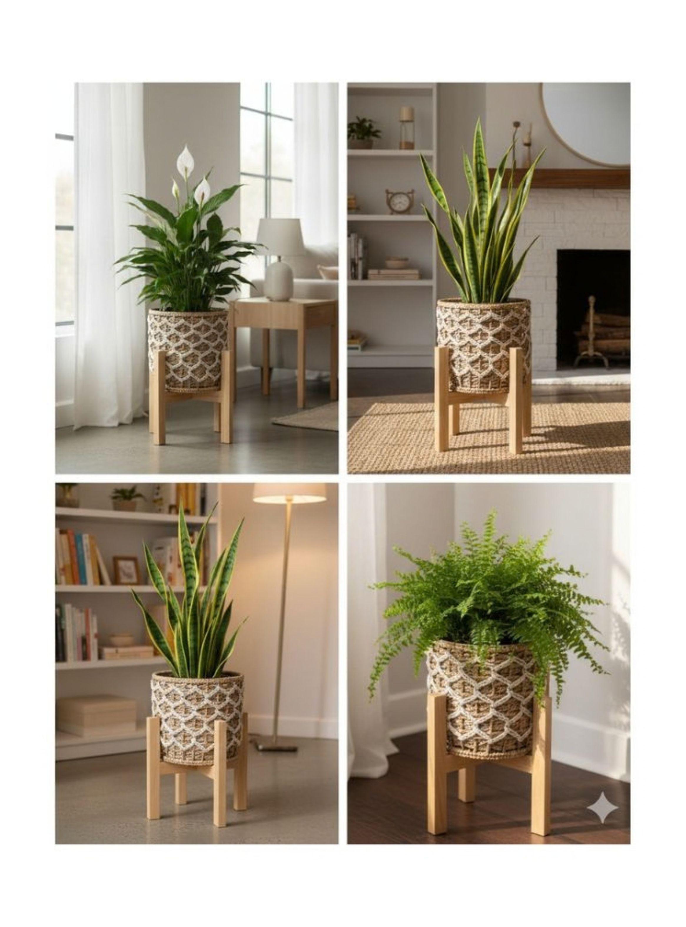 Set 3 Maceteros Artesanales con Base de Madera Natural-4