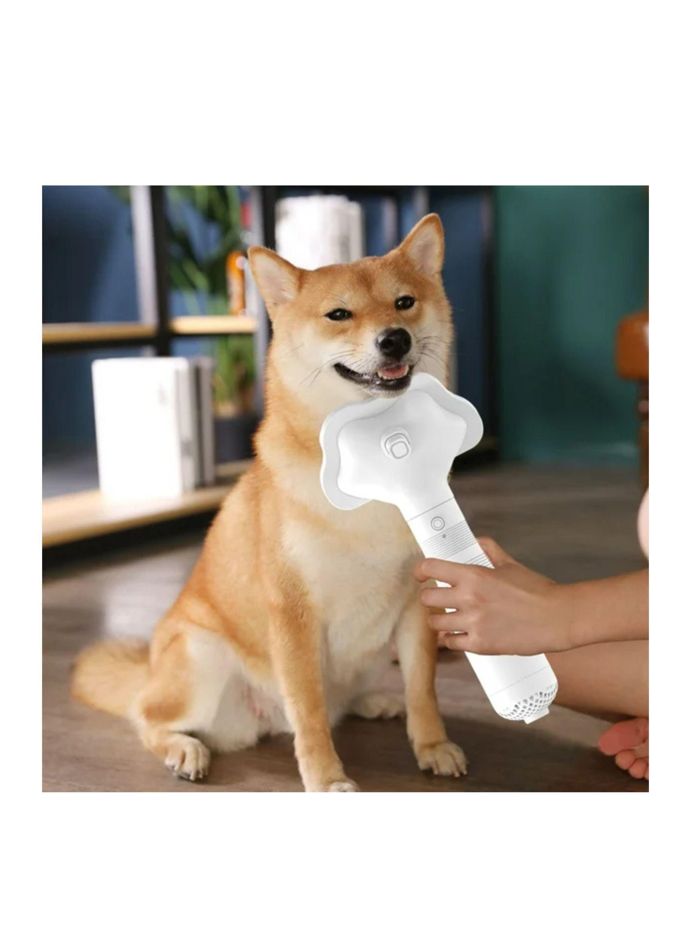 Secador De Pelo Peine De Aseo Para Mascotas-2