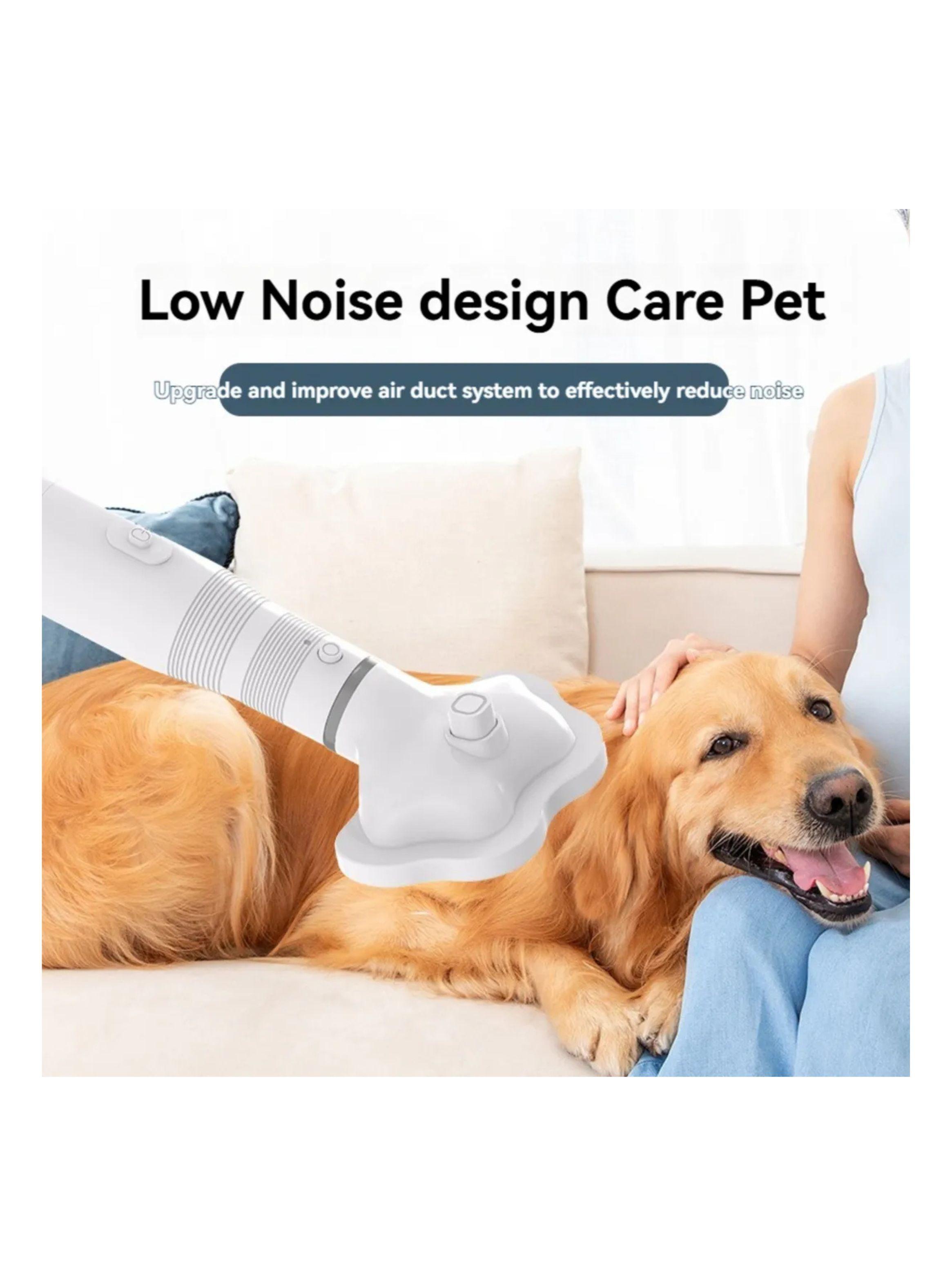 Secador De Pelo Peine De Aseo Para Mascotas-4