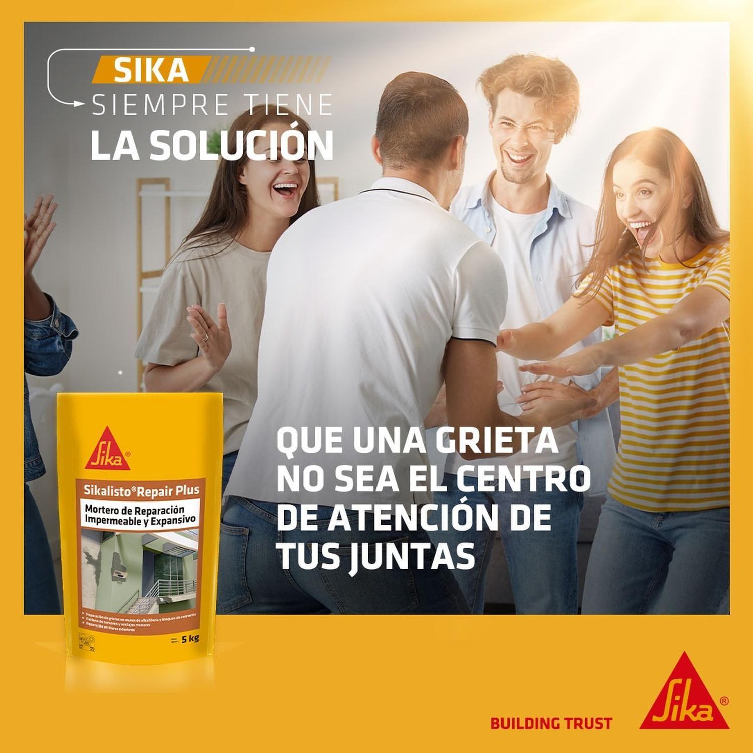 SIKALISTO MIX-A MULTIUSO - Mortero de sellado y Reparación, Sac 5Kg-4