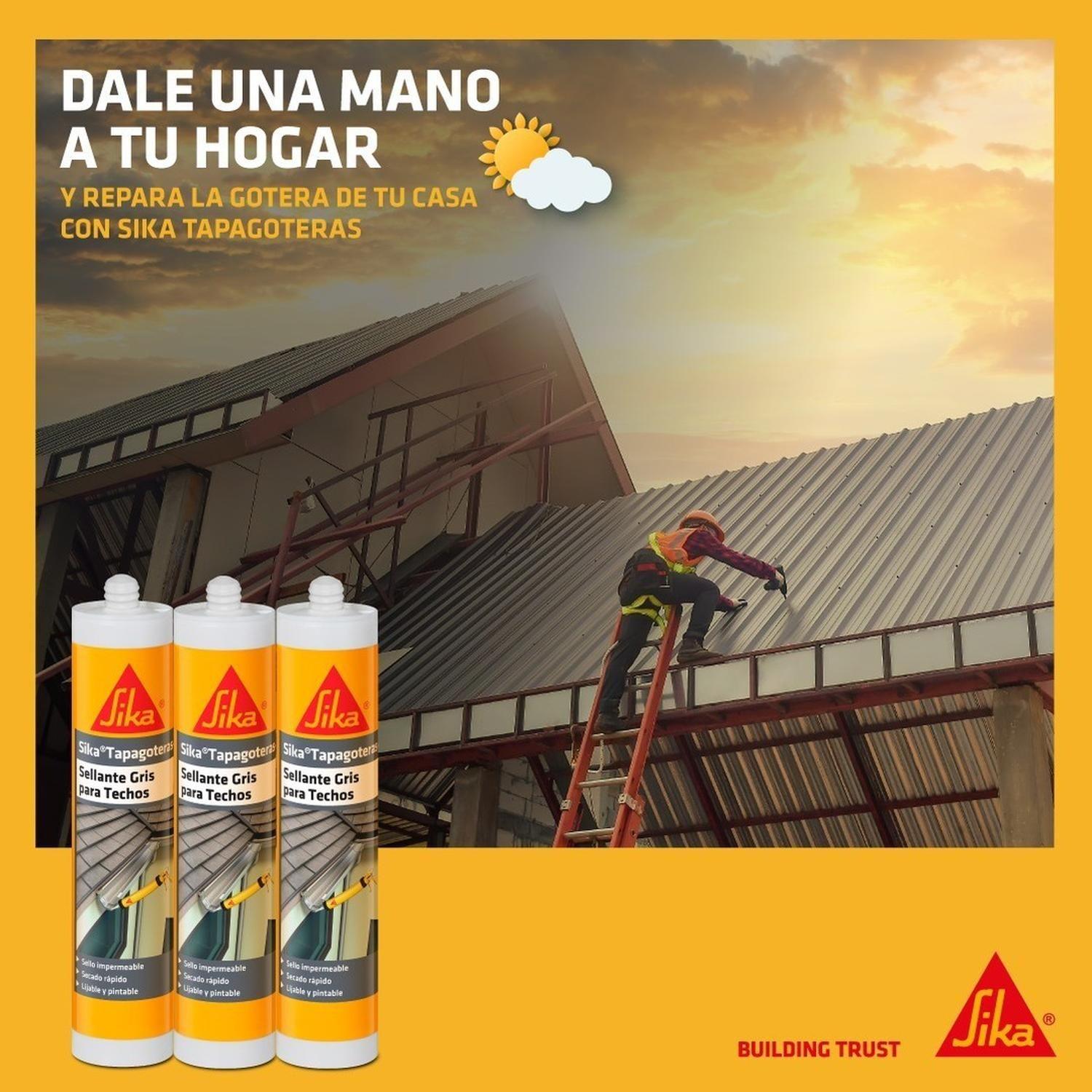 SIKA TAPAGOTERAS - Sellante para Techos y Encuentros, gris. cartucho 300cc-3