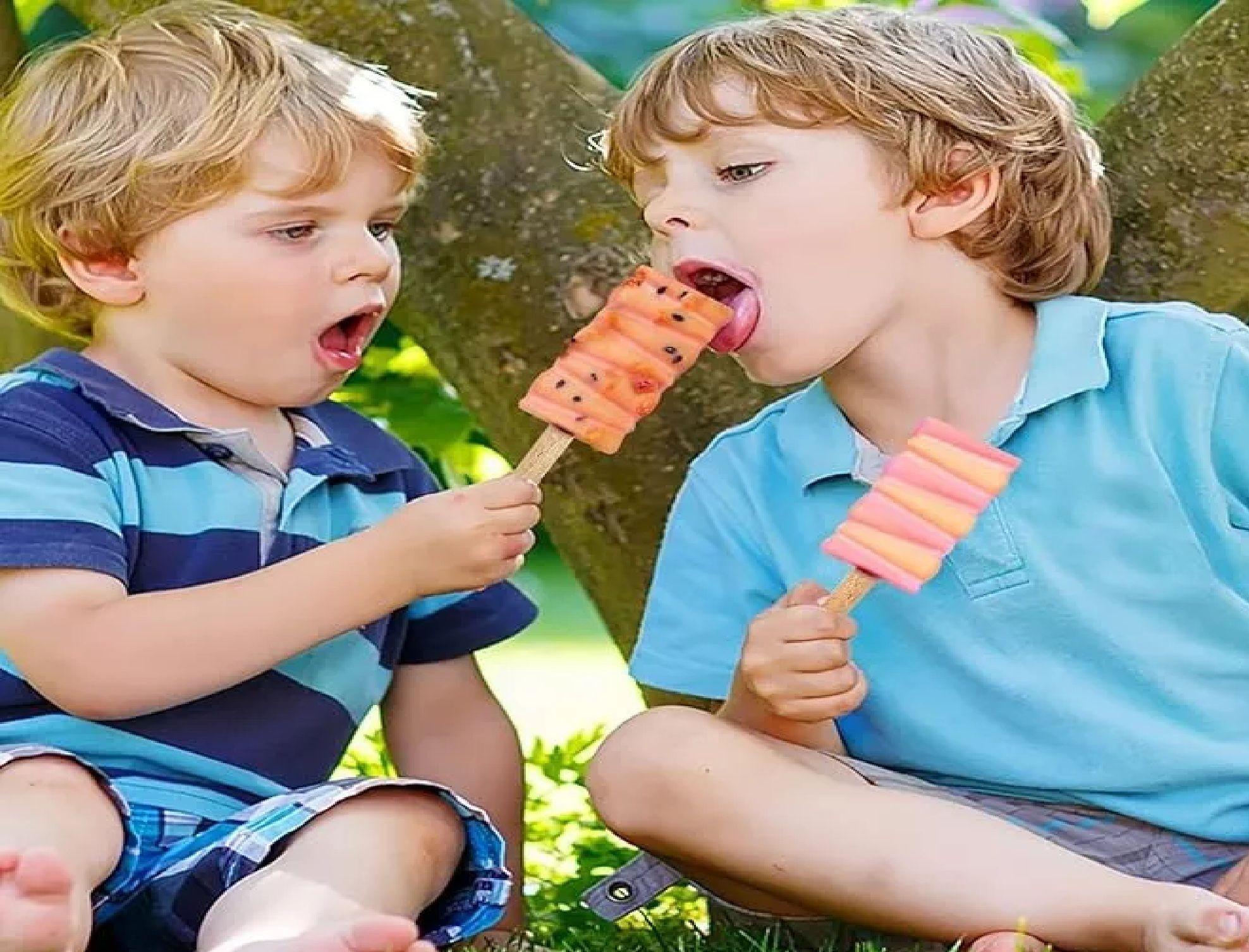 set x2 Moldes De Silicona Para Helados Molde Paletas Helado 8cavid-5